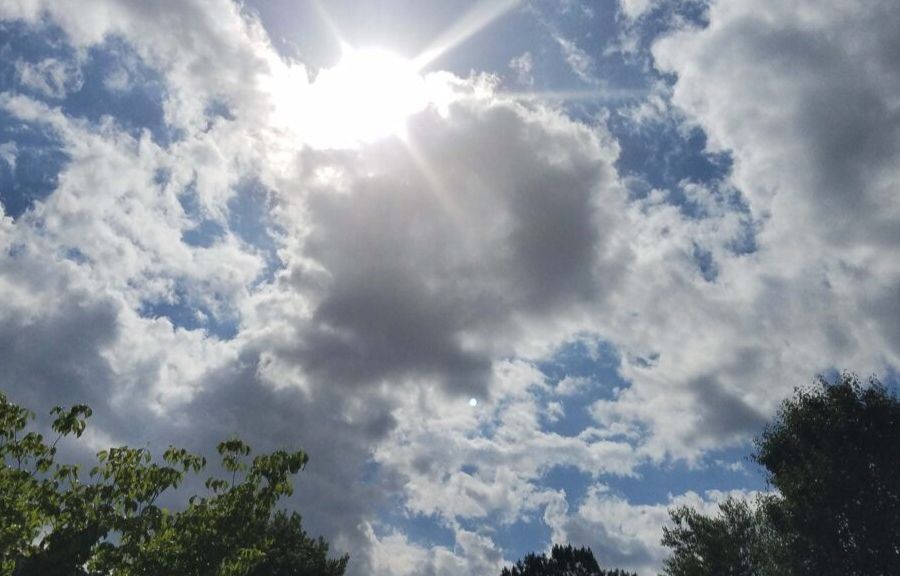 Domingo soleado y caluroso antes del regreso de las tormentas a la región