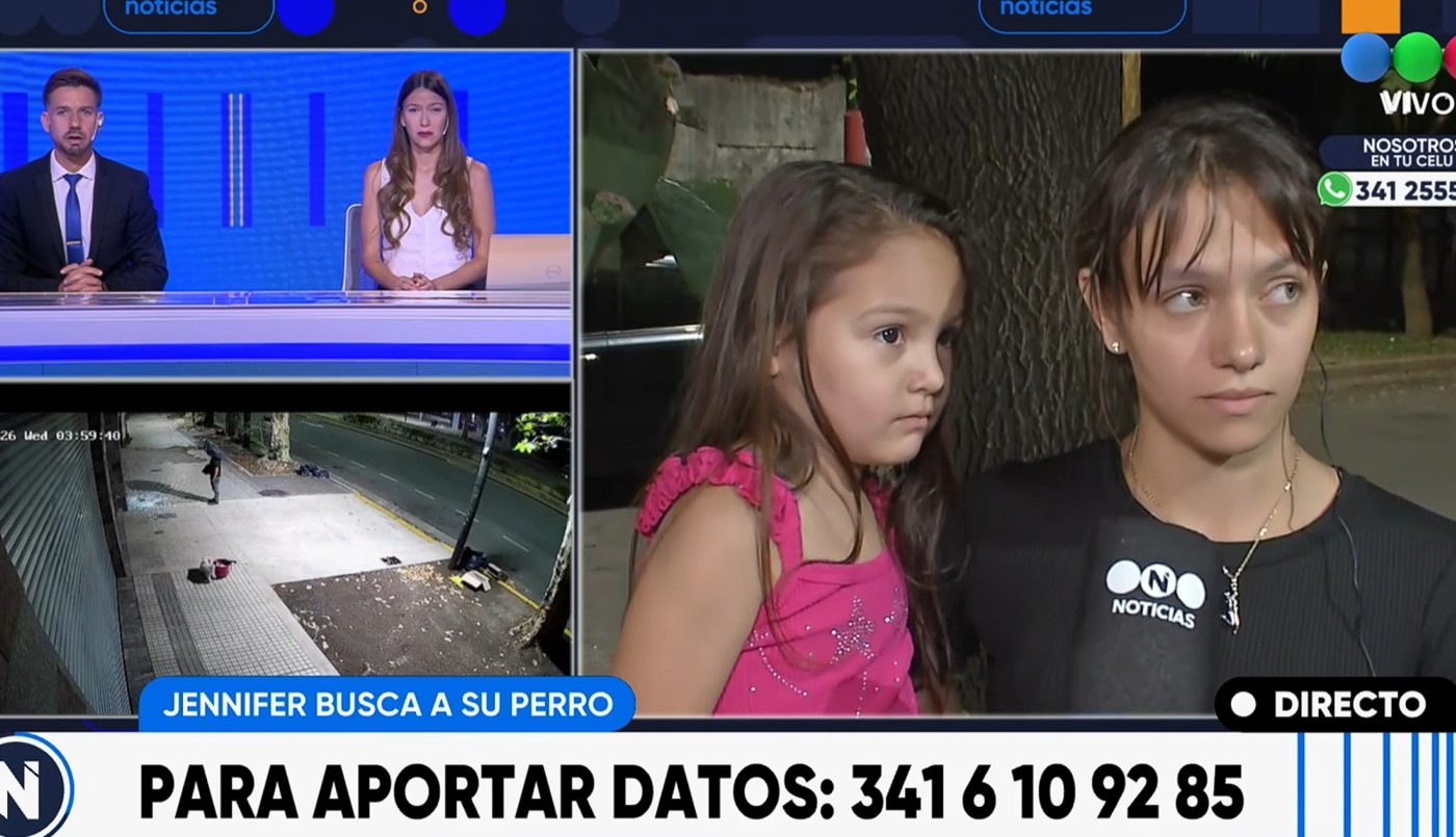 Robo y destrozos en Santería de Rosario: dueña busca a su perro reconocido en el video | Rosario y la región