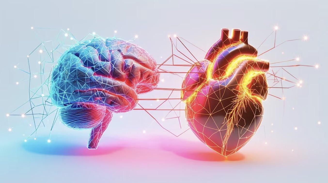 El cerebro y el corazón: cómo el rechazo emocional impacta en el cuerpo humano | Curiosidades