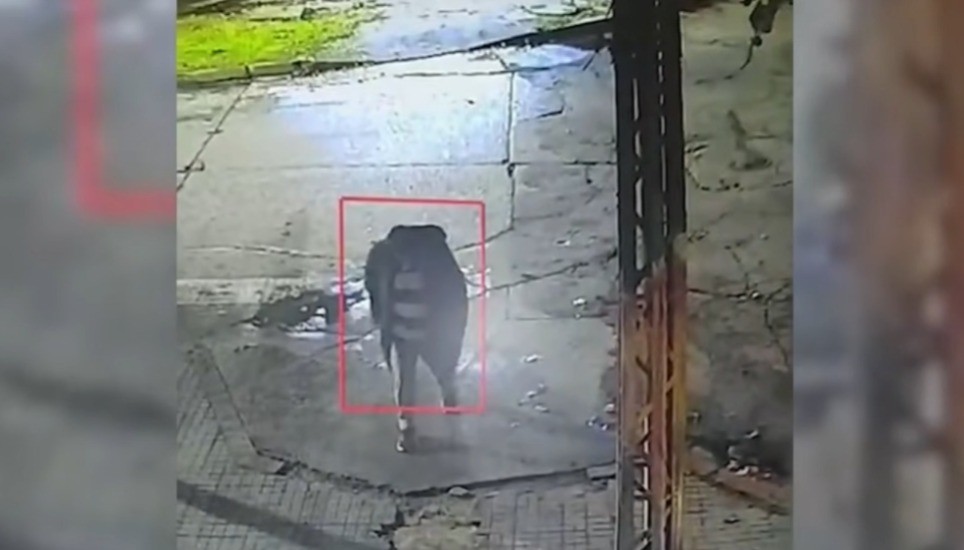 Rompieron el vidrio de un minimarket: se trata del séptimo robo en menos de un año | Rosario y la región