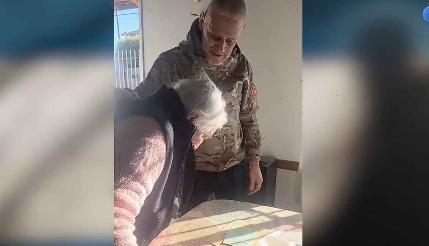 Un excombatiente de Malvinas recuperó una carta que le había escrito a su madre durante la guerra | Información General