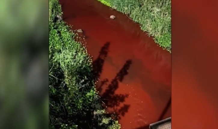 Contaminación ambiental en Casilda: el arroyo Candelaria apareció teñido de rojo | Información General