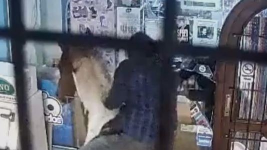 Robo insólito en Miramar: entraron a un kiosco a caballo y huyeron con mercadería | Información General