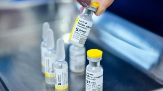 Refuerzan la vacunación contra la fiebre amarilla en Salta tras casos detectados en Bolivia | Información General