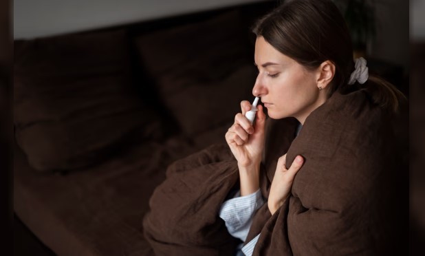 Científicas argentinas investigan un spray nasal que podría prevenir el contagio de hantavirus | Información General