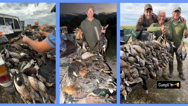 Caza ilegal en Santa Fe: investigan la matanza de más de 300 animales y fauna protegida en el norte provincial | Información General