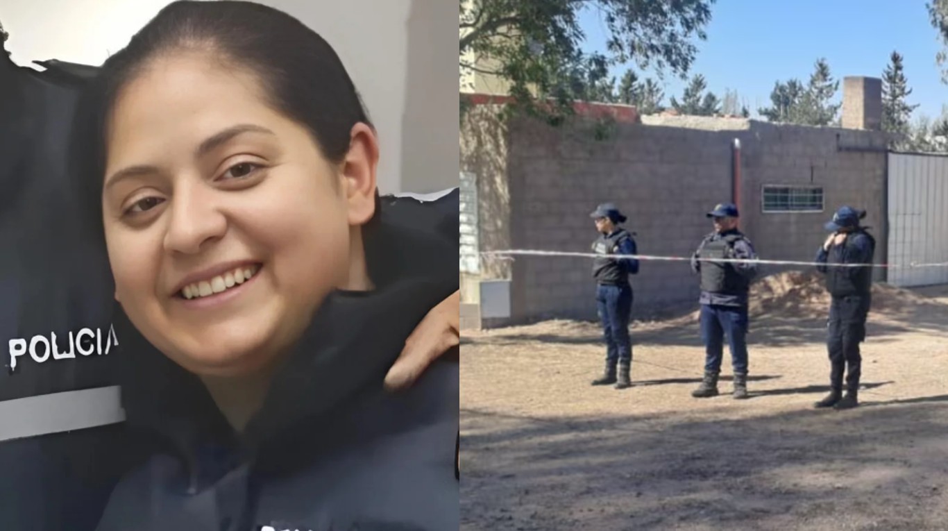 Condenaron a prisión perpetua a Marina Silva, la expolicía que mató a sus dos hijos en San Luis | Información General