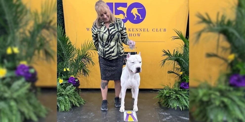 Un Dogo Argentino nacido en Córdoba ganó en el certamen canino más importante del mundo | Curiosidades