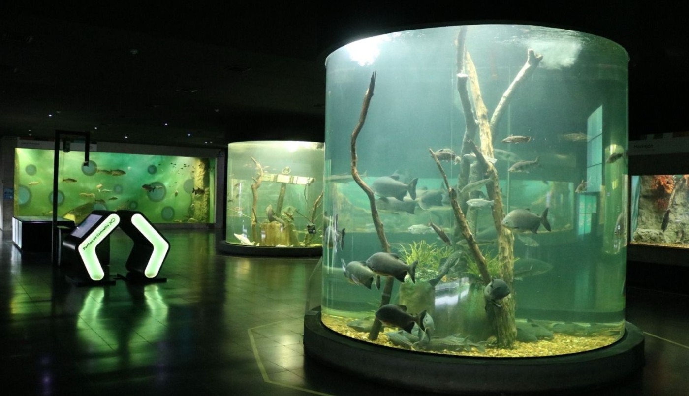 Propuestas de verano en el Acuario del Río Paraná para colonias y polideportivos | Servicios