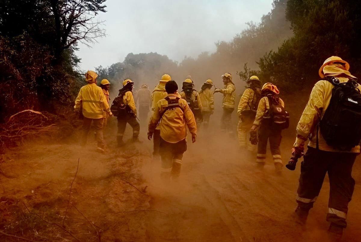 Regresaron a Santa Fe los brigadistas que combatieron los incendios en Chubut | Información General