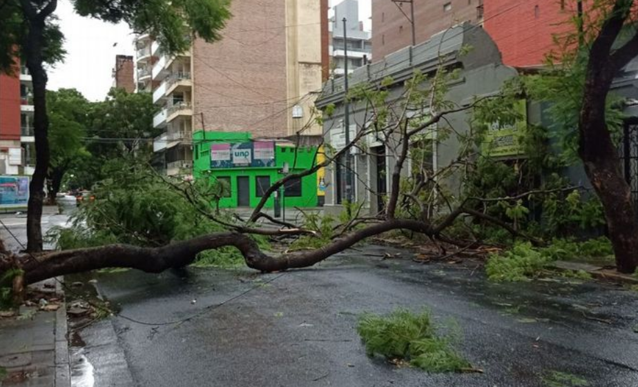 Árboles caídos, calles anegadas y columnas dañadas, por la lluvia y los vientos | Rosario y la región