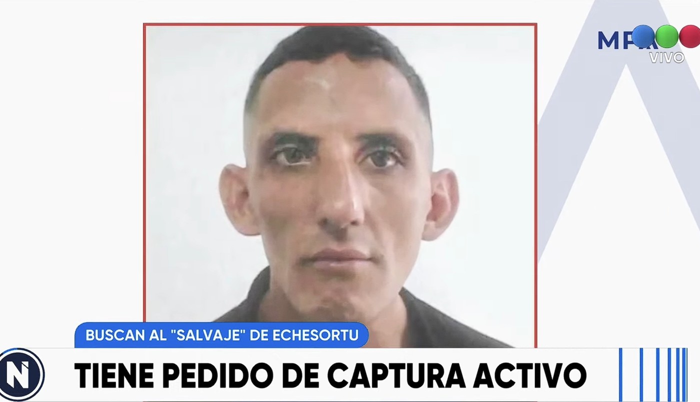 Buscan al “salvaje de Echesortu”: tiene pedido de captura y un amplio prontuario | Rosario y la región