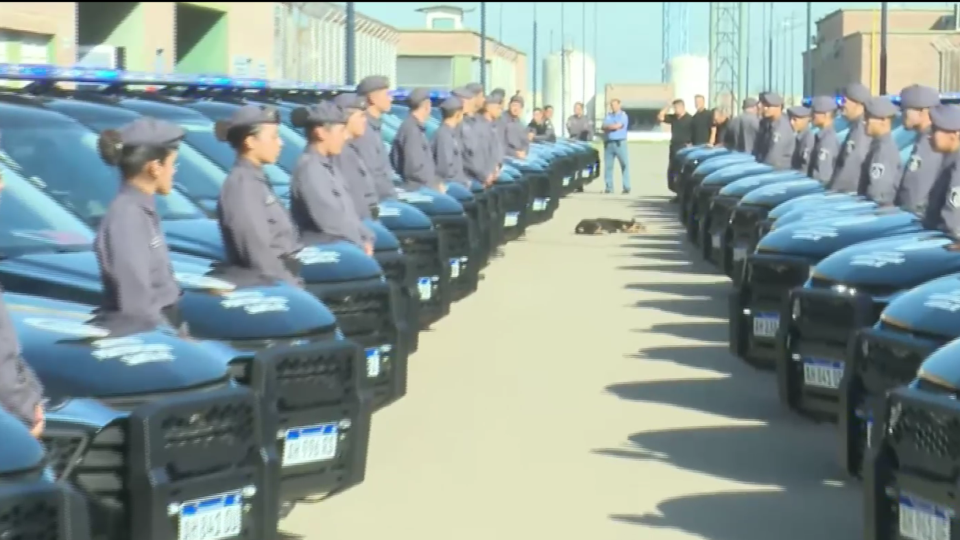 El Gobierno entregó 50 nuevos patrulleros al Servicio Penitenciario de Piñero | Información General