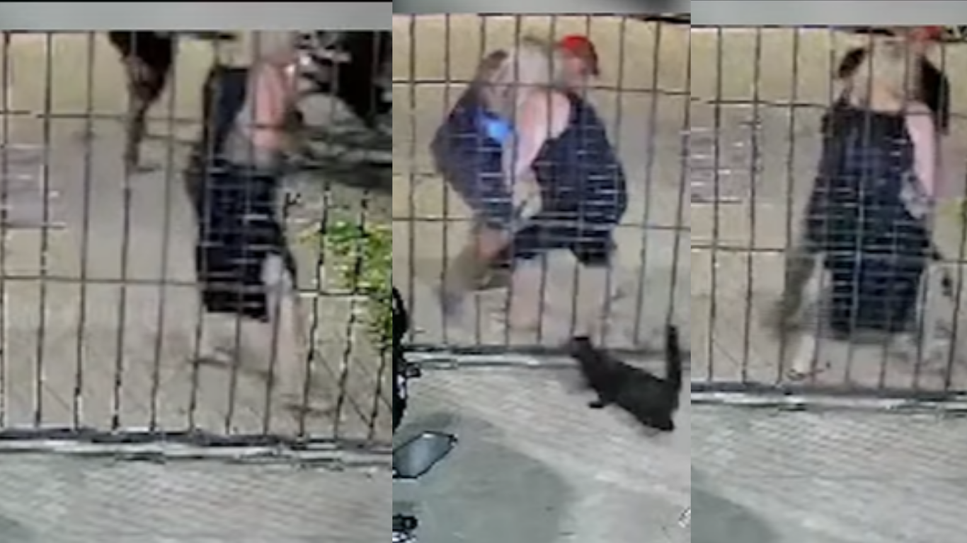 Robo en San Lorenzo: motochorros tiraron y arrastraron a una mujer en plena calle | Rosario y la región