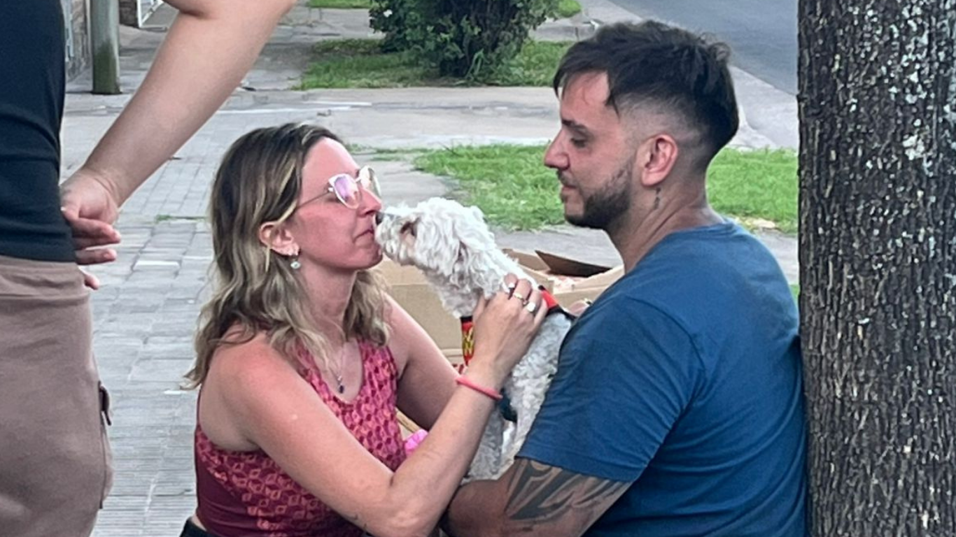 Tragedia en Rosario: el fuego arrasó con la vivienda y 14 mascotas, solo una perra quedó con vida | Rosario y la región