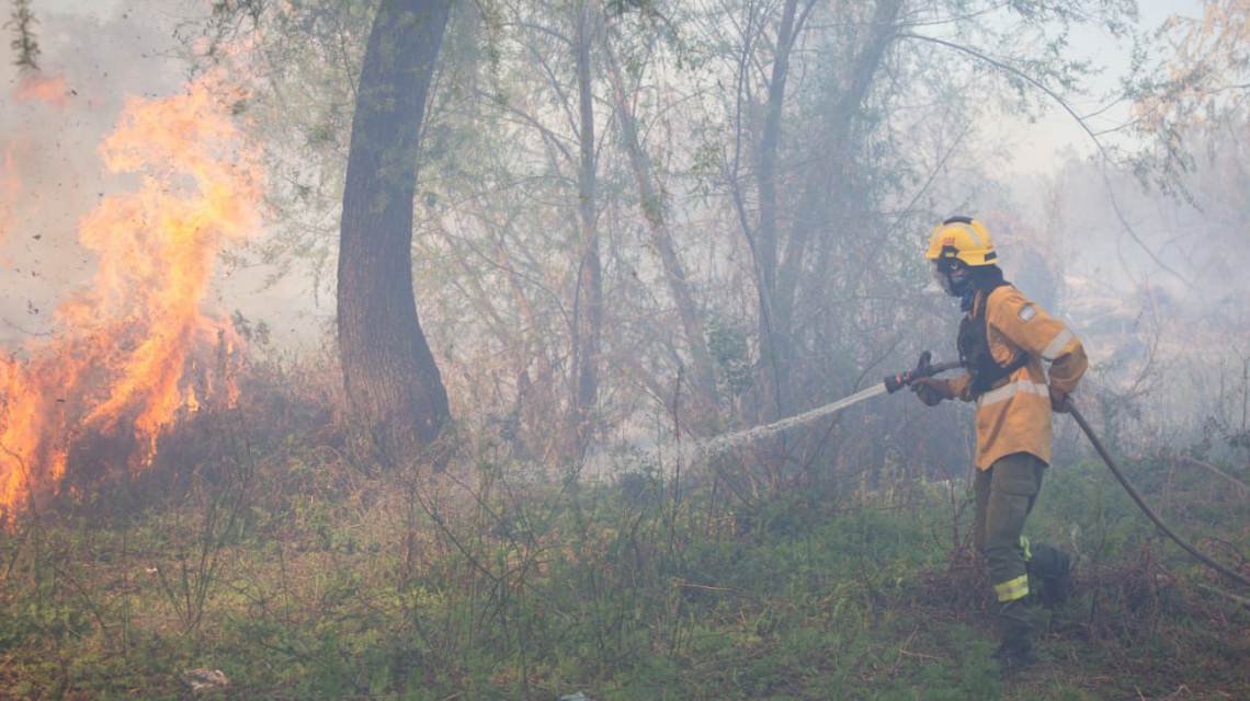 Alerta por incendios: Santa Fe, entre las zonas de "riesgo extremo" ante la ola de calor y la sequía | Rosario y la región
