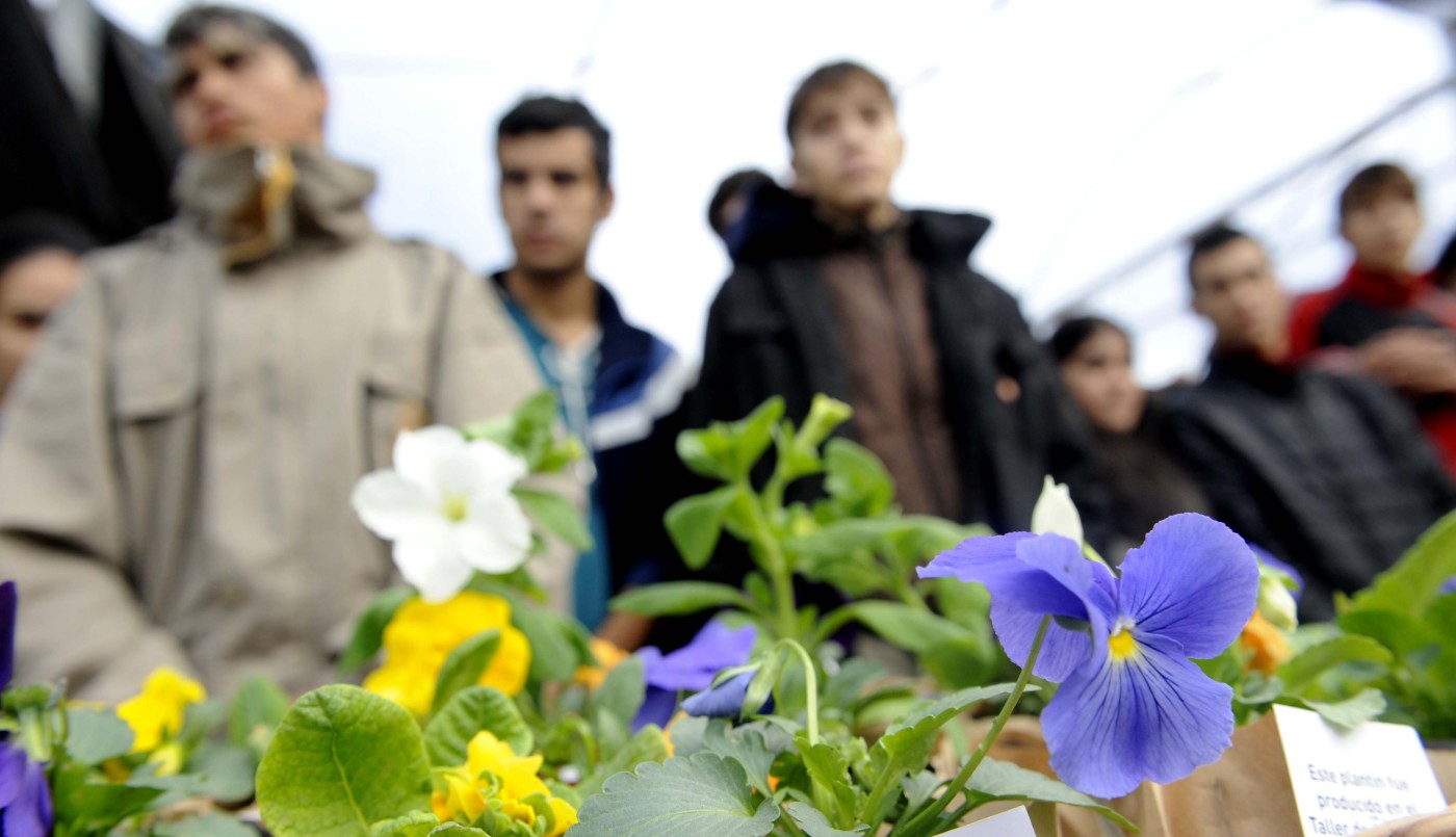 Un millón de árboles para Rosario | Información General