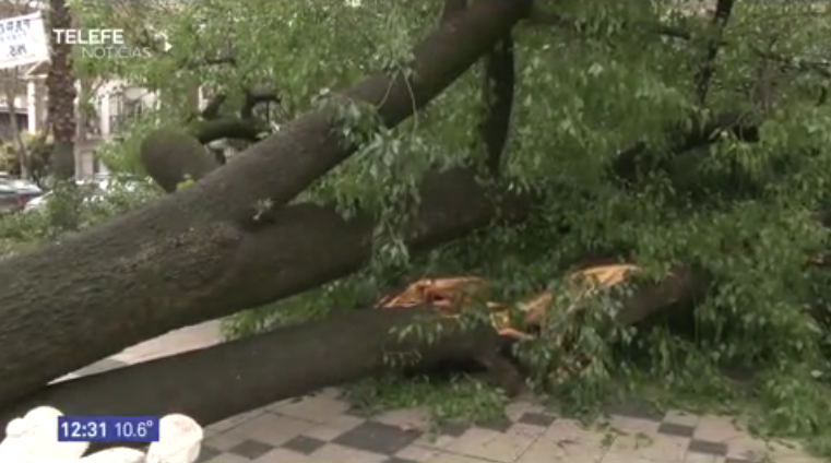 Alerta meteorológico en Rosario por vientos fuertes con ráfagas | Información General