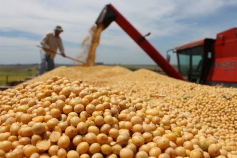 Nación eliminó el fondo sojero y hay malestar en Santa Fe | Información General