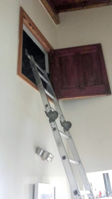 Rafecas inspeccionó la casa de López y ubicó el falso piso donde habría escondido los 9 millones de dólares | Información General