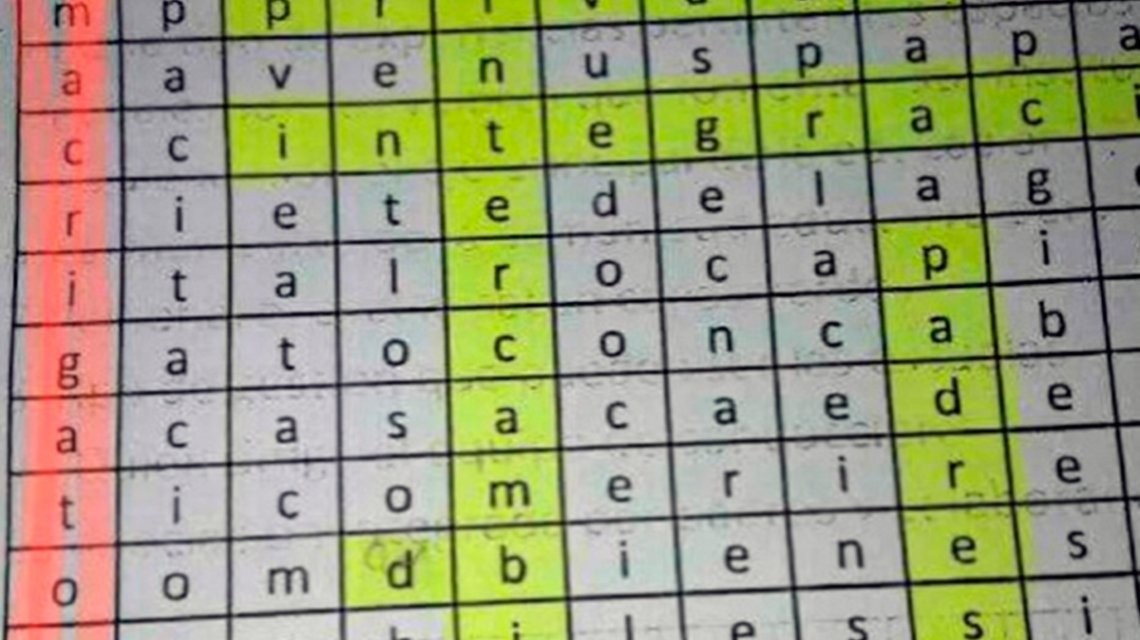 Polémica por un profesor que dio a sus alumnos un crucigrama que dice "Macri gato" | Información General