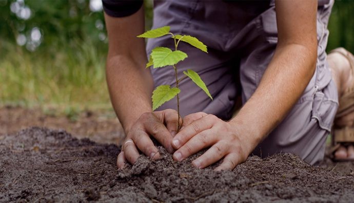 Autorizaron la creación del Sindicato de Trabajadores Protectores Ambientales | Información General