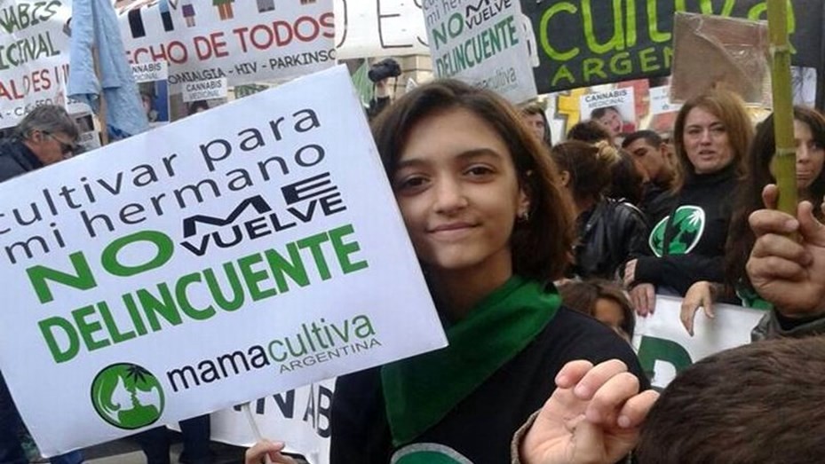 La Cámara de Diputados dio media sanción al uso medicinal del aceite de cannabis | Información General