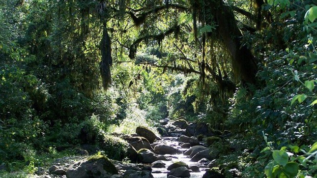 Los Parques Nacionales, ahora disponibles en Google Street View | Tecnología