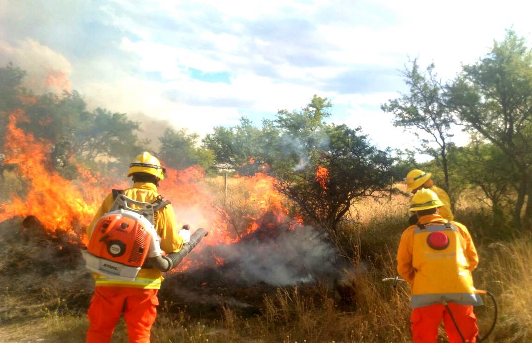Los incendios que afectaron más de 1.400.000 hectáreas ya están controlados, pero no extintos | Información General