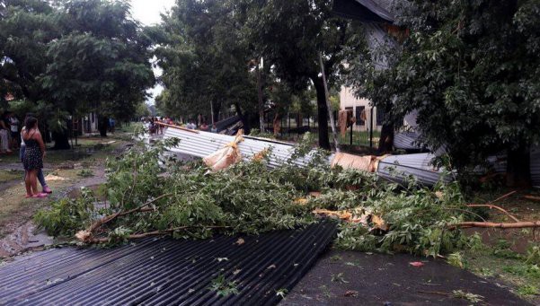 Tragedia en Pilar: una mujer y sus dos pequeñas hijas murieron al caer un árbol en medio de un intenso temporal | Información General