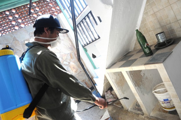 El municipio advierte que no se están realizando fumigaciones domiciliarias contra el dengue | Información General