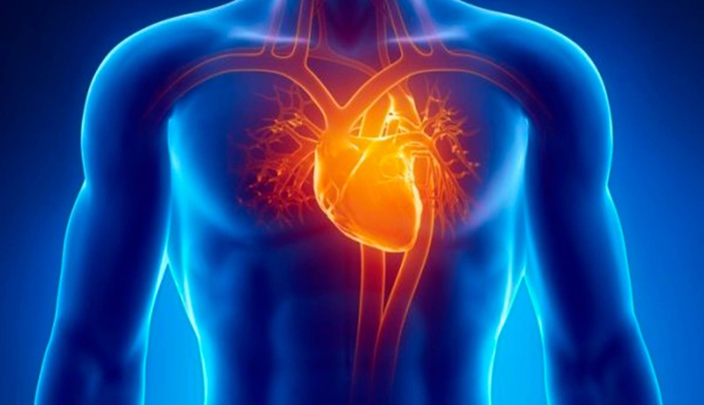 Por primera vez implantan un cardiodesfibrilador subcutáneo en un adolescente | Información General