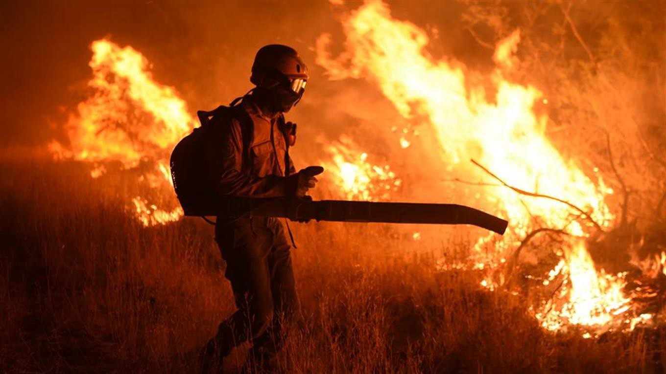 El Gobierno creará un Observatorio Nacional de Cambio Climático para dar respuesta a emergencias ambientales | Información General