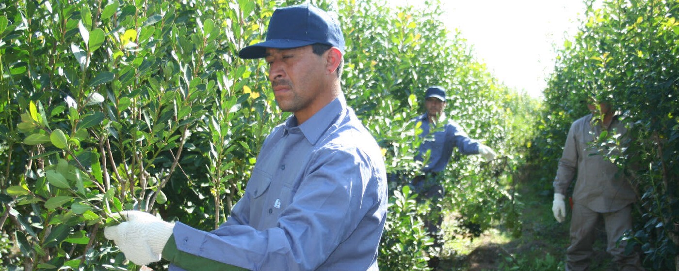 Los yerbateros extienden su protesta porque no les pagan el precio oficial | Información General