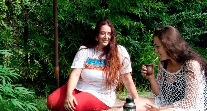 Dieron prisión domiciliaria a la mujer que tenía plantas de cannabis en su casa para uso medicinal | Información General