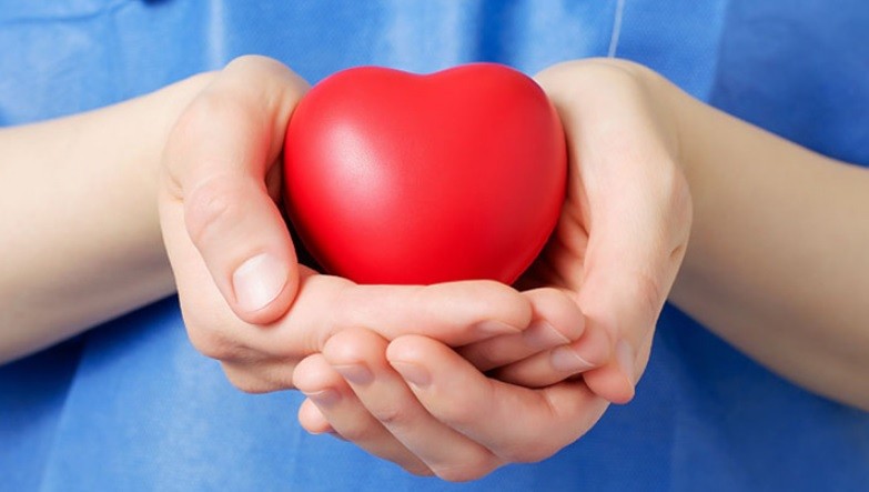 Récord histórico en 2018 para la donación y trasplante de órganos | Información General