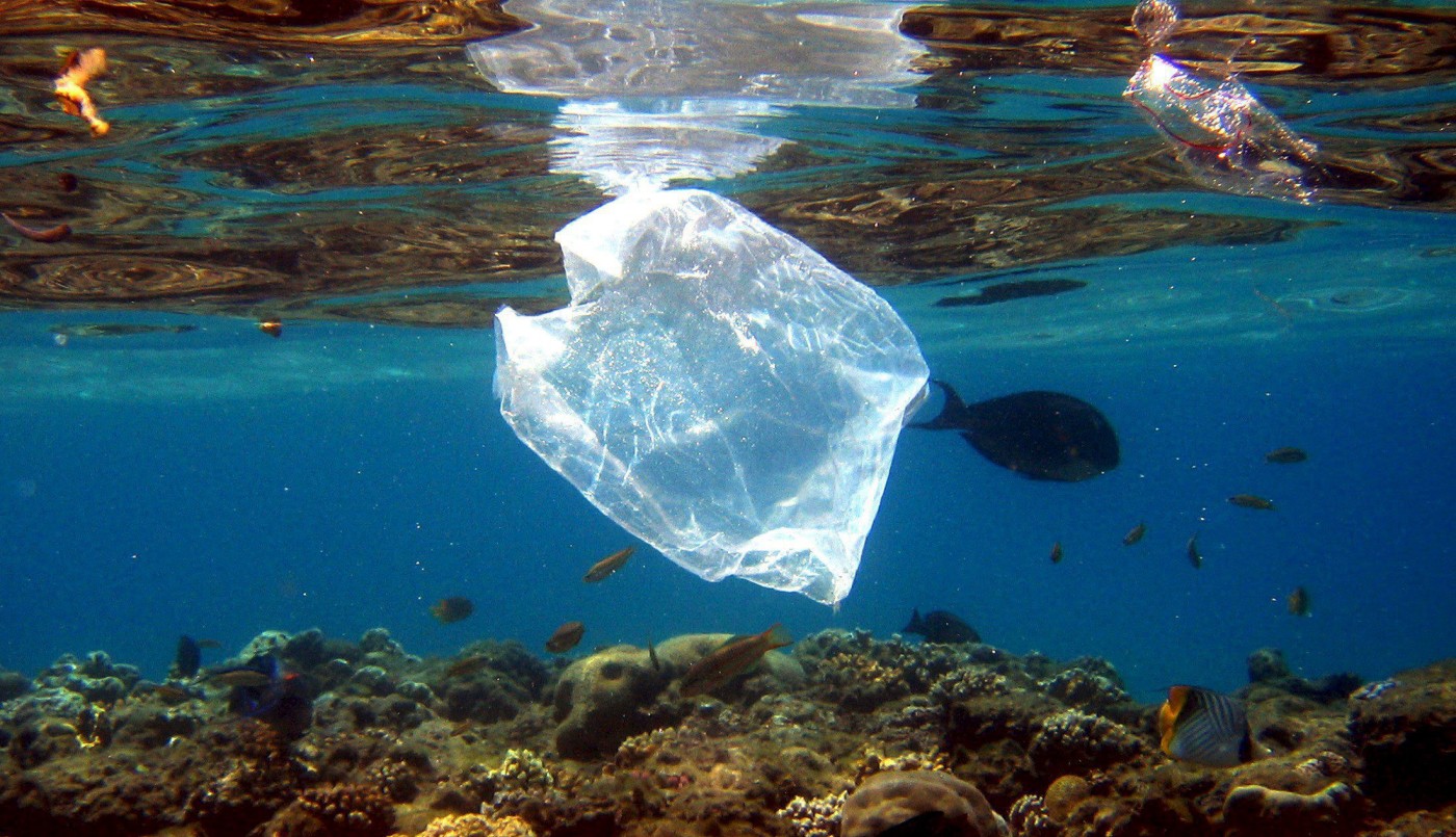 Advierten que si no se revierte la contaminación, en 2050 en los mares habrá más plástico que peces | Información General