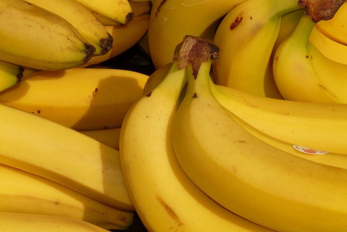 Productores del norte regalarán 30 toneladas de bananas en Plaza de Mayo para protestar por la situación del sector | Información General