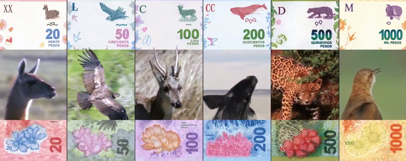 El Banco Central presentó el nuevo billete de 100 y se completa la familia "Animales autóctonos" | Información General