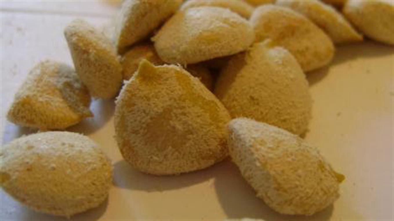 Tras pasar más de un mes en coma, murió la mujer que había consumido nuez de la India | Información General