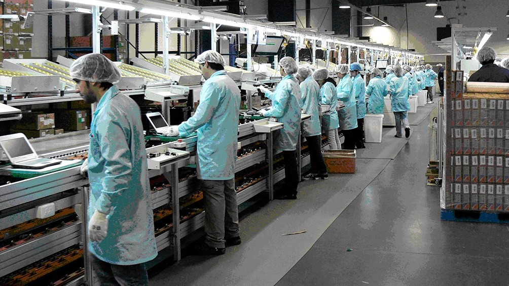 El empleo registrado retrocedió 1% interanual en octubre | Información General