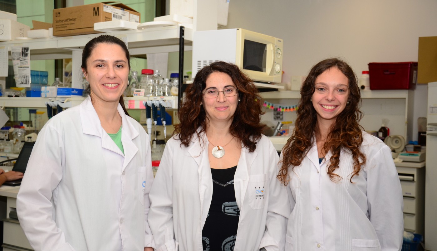 De Rosario para el mundo: un equipo de investigadores locales descubre cómo enfrentar a las superbacterias | Información General