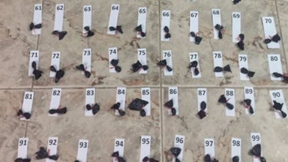 Cayó una banda narco dirigida desde la cárcel de Coronda | Información General