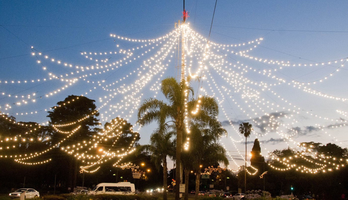 Este viernes se encenderá el tradicional árbol navideño de Pellegrini y Oroño | Información General