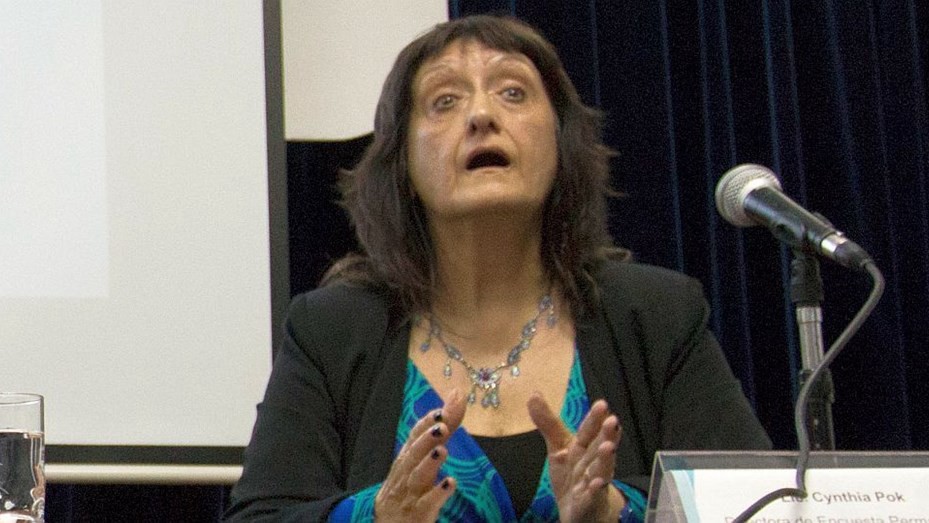 Renunció Cynthia Pok, la directora del INDEC que medía el desempleo y la pobreza | Información General