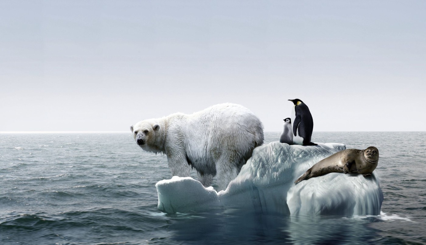 Alertan sobre la inmediatez del cambio climático tras el lustro más cálido desde 1880 | Internacionales