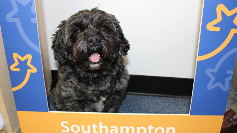 Los ladridos de un perro despertaron a su dueño del coma inducido | Tecnología