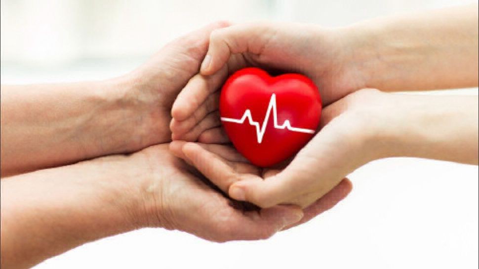 Una nena de siete años murió en un accidente y sus órganos salvarán la vida de otros seis chicos | Información General