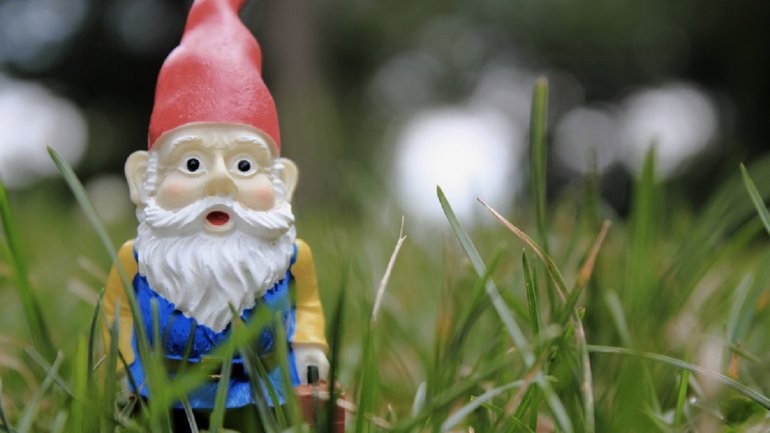 Misterio en Cipoletti por una ola de robos de enanos de jardín | Información General