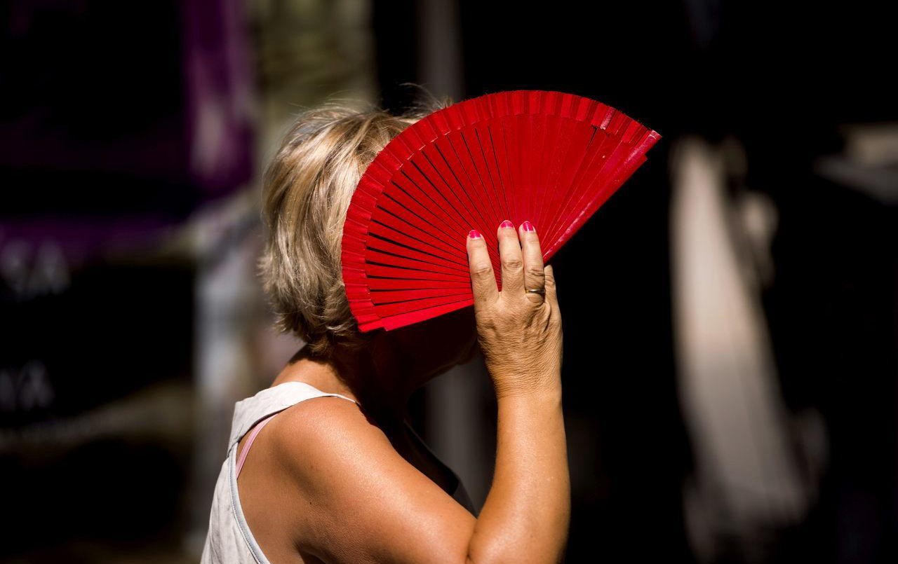 Temperaturas en ascenso y nada de lluvias para los próximos días | Información General